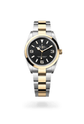 rolex Explorer in Yellow Rolesor - combination of Oystersteel and yellow gold, M124273-0001 - Ace Test Store 2